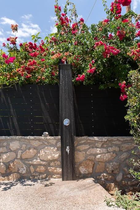 Van Louis Place Βαθύ Εξωτερικό φωτογραφία